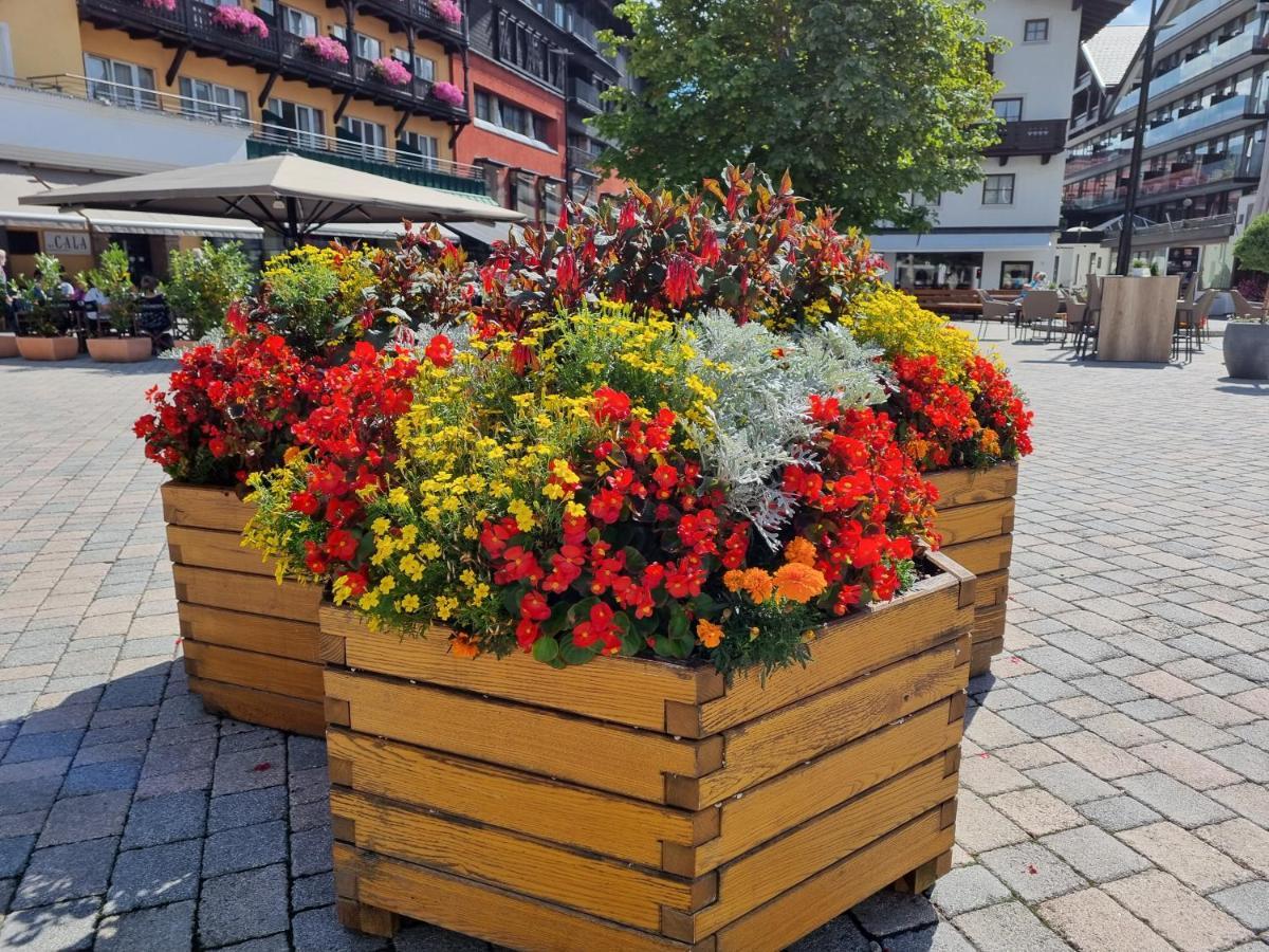 Wohlfuehl-Appartement Bergsee Family - Am Wildsee - Sup Und Schlitten For Free Зеефельд в Тироле Экстерьер фото