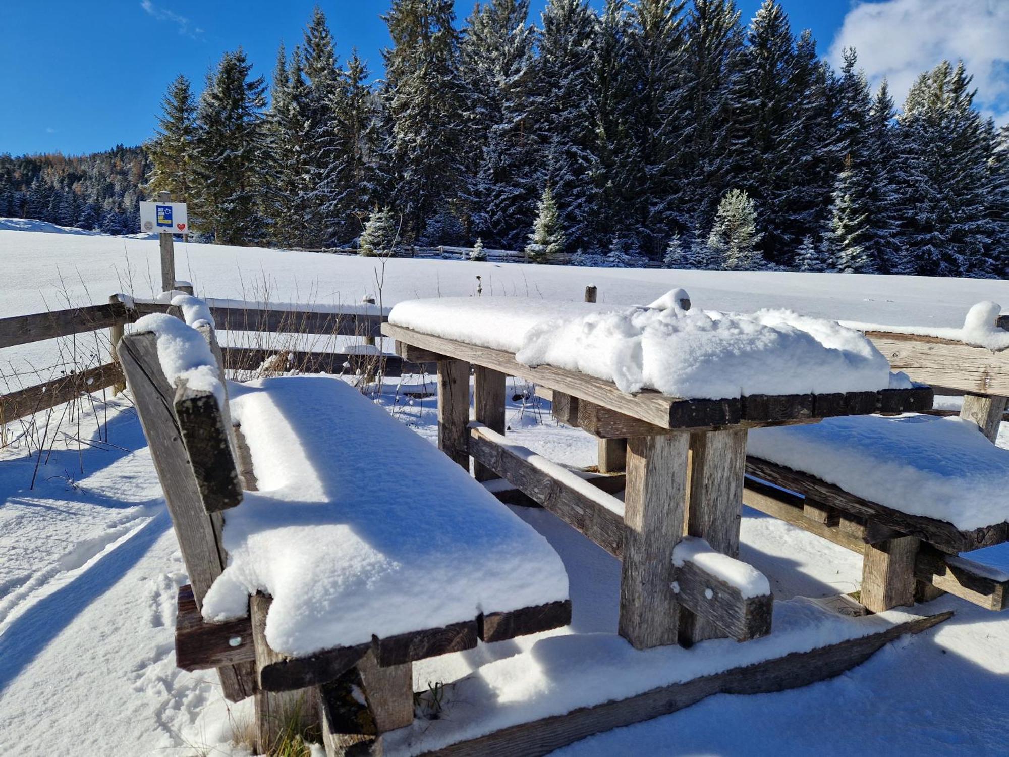 Wohlfuehl-Appartement Bergsee Family - Am Wildsee - Sup Und Schlitten For Free Зеефельд в Тироле Экстерьер фото