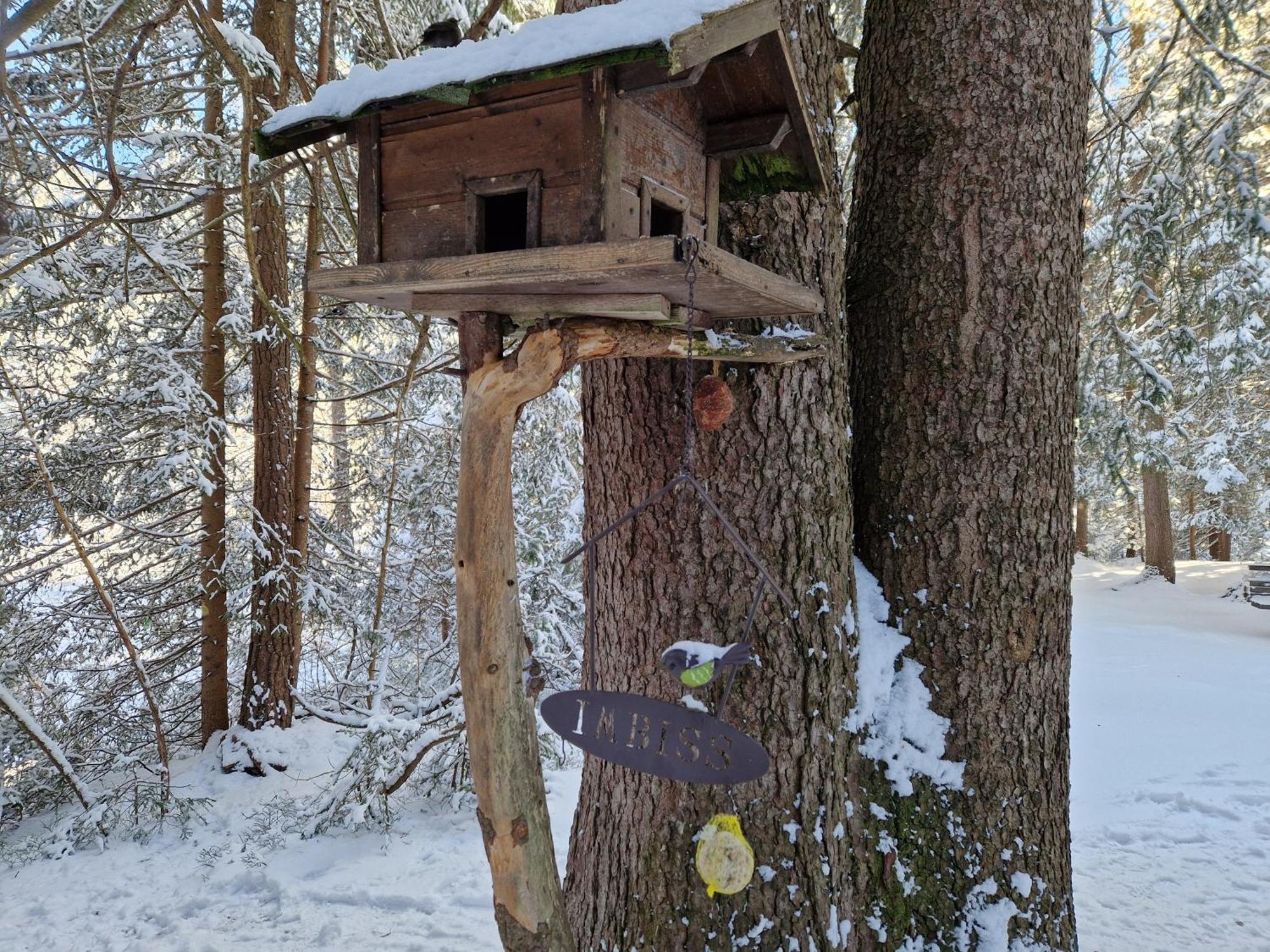 Wohlfuehl-Appartement Bergsee Family - Am Wildsee - Sup Und Schlitten For Free Зеефельд в Тироле Экстерьер фото